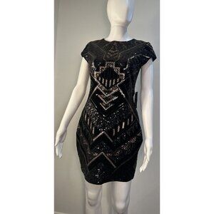 Express Sequined  With Velvet Bling Geometric Dress. Stunning, Perfect,  Holiday